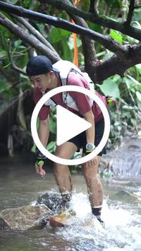 BIB:  <button type="button" onclick="openModal(27808923)" class="btn btn-primary btn-sm float-right" data-toggle="modal" data-target=".modal-high-quality">
                <i class="fa fa-download"></i> Download
                </button>